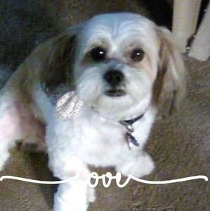 Meet your Posher, Pamela